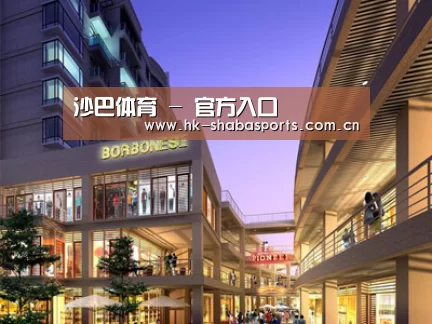 案例展示一(图1)