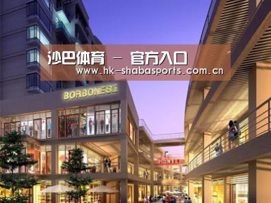 案例展示一