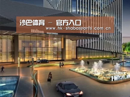 案例展示二