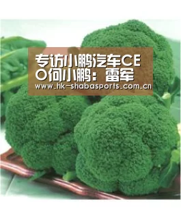 沙巴体育数据