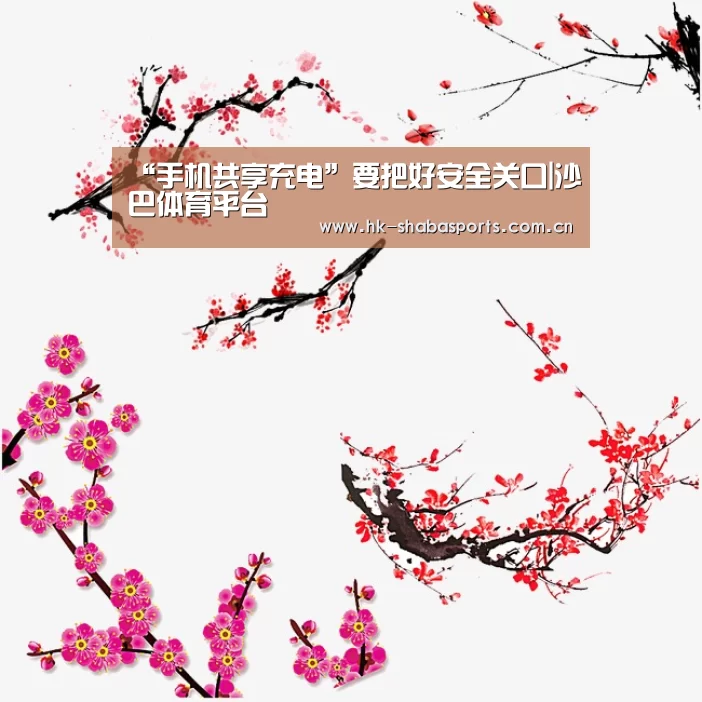 “手机共享充电”要把好安全关口|沙巴体育平台(图1) 沙巴体育平台