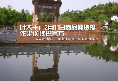 叶大干:2月11日商品期货操作建议|沙巴官方(图3) 沙巴体育app