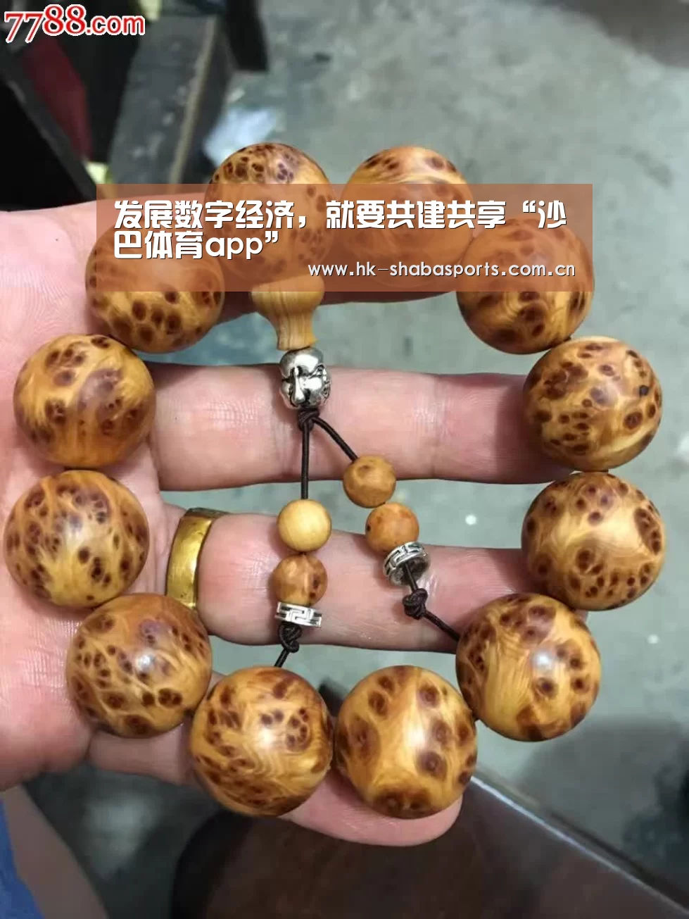沙巴体育app