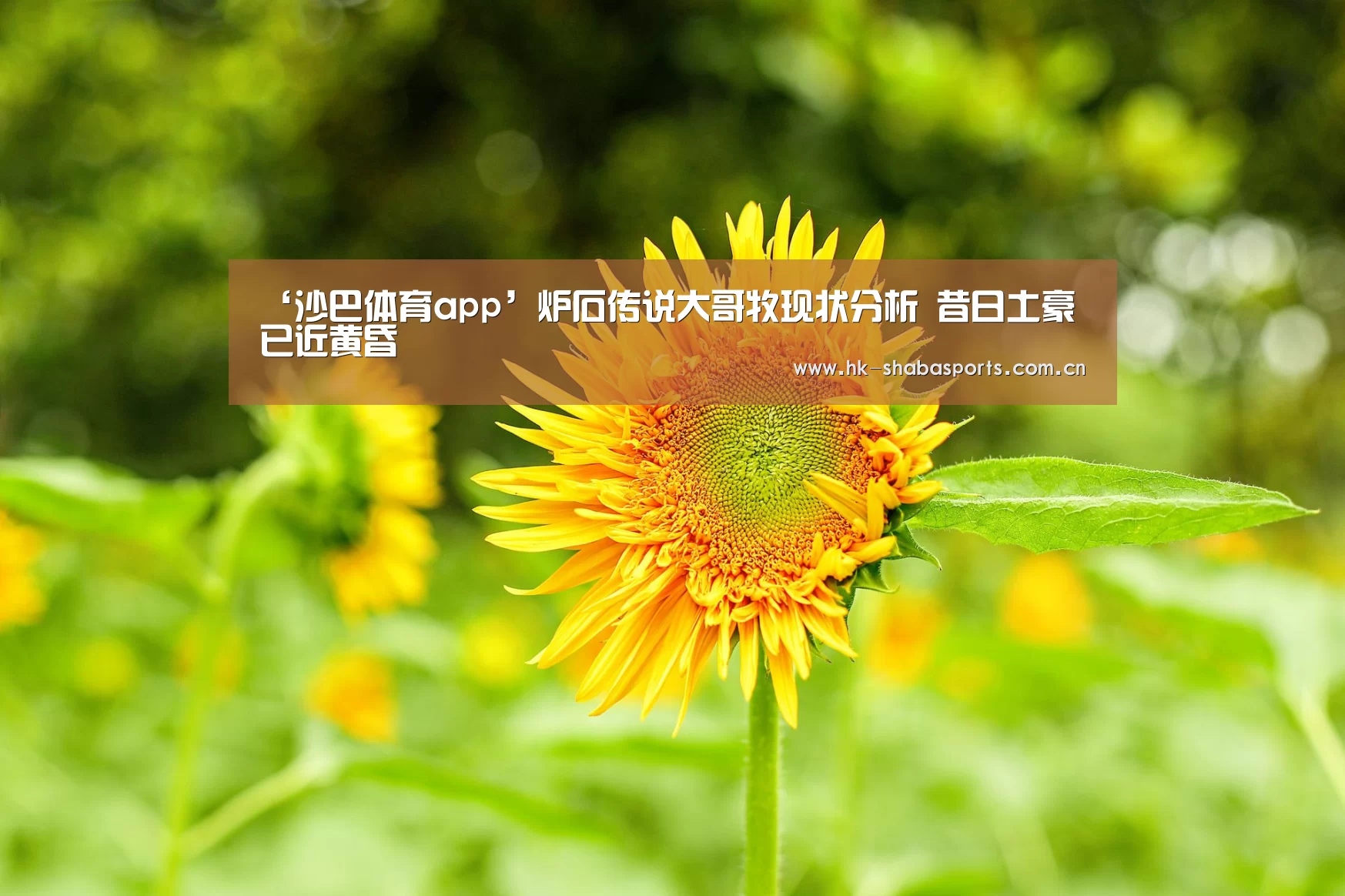 ‘沙巴体育app’炉石传说大哥牧现状分析 昔日土豪已近黄昏(图3) 沙巴官方