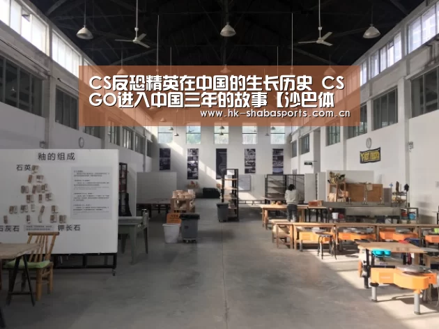 CS反恐精英在中国的生长历史 CSGO进入中国三年的故事【沙巴体育平台】(图4) 沙巴官方