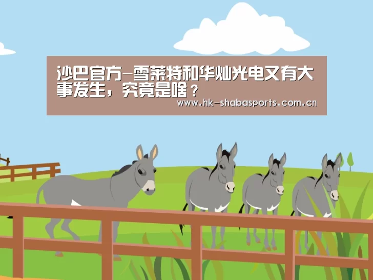 沙巴体育平台