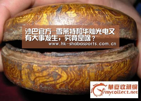 沙巴体育app