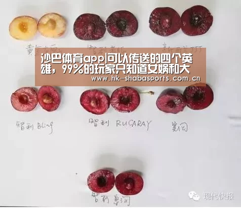 沙巴体育平台