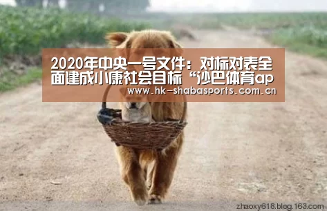沙巴体育数据