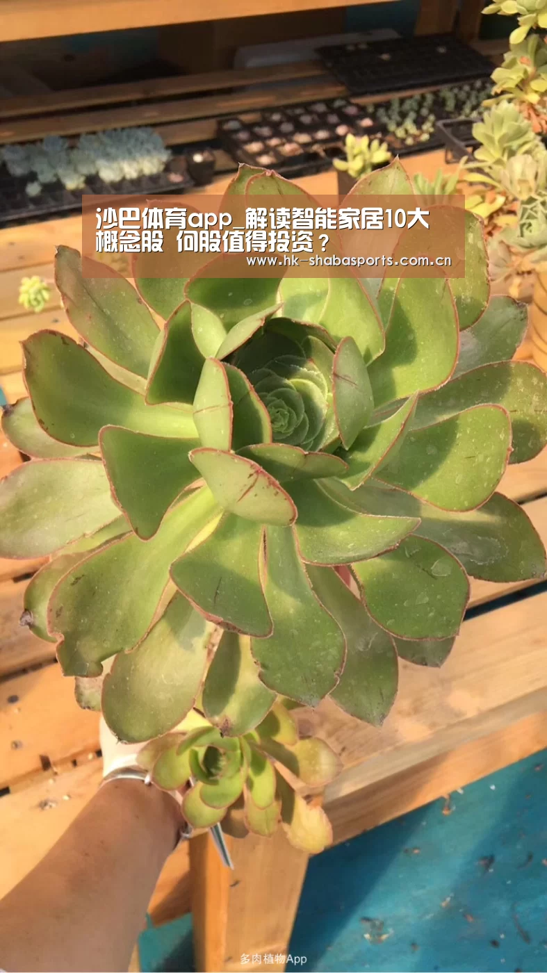沙巴体育数据